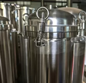 How to Choose the Surface Treatment Types of Stainless Steel Filter Housing?