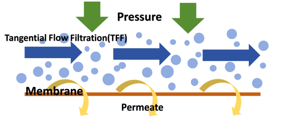 What are Tangential Flow Filtration and Dead-End Filtration?cid=191