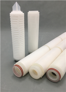 PVDF Pleated Filters.jpg