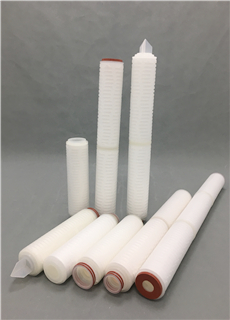 PTFE Pleated Filters.jpg